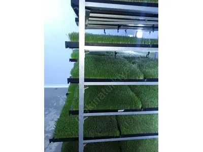Taze Yeşil Yem Üretim Tesisi (365 Gün Taze Yeşil Yem) S-1200; 6000-6200 Kg / Gün 