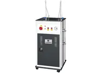 9,75 Kg/h Full Automatic Two Iron Steam Generator