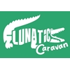Çekme Karavan