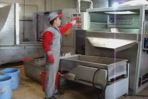 Pamukkale Kuruyemiş Makina San. Tic. Ltd. Şti.