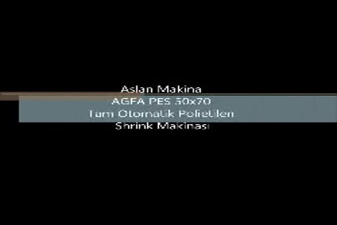 Aslan Makina