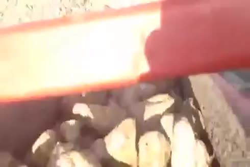 Dağlı Tarım Makineleri