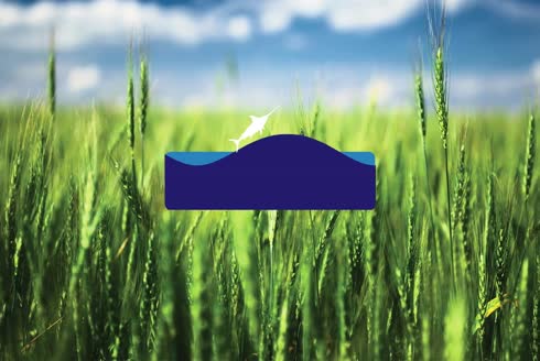 Terramak Tarım Makinaları Dış Ticaret A.Ş.