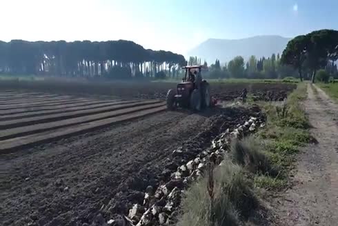 28 Cm Tohum Yatağı Hazırlama Makinesi