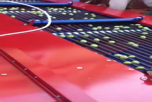 Özsargınlar Zeytin İşleme Makina İmalatı