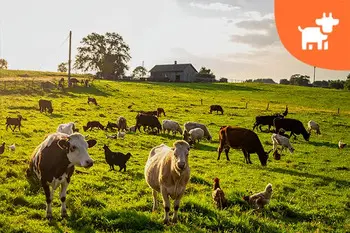 Hayvancılık Makinaları ve Ekipmanları