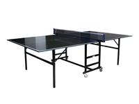 Aker İç Mekan Tenis Masası 