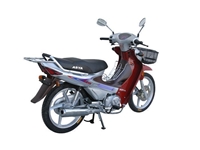 Asya 107cc Motorrad As 110-8 - 5
