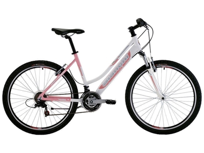 Bianchi 21 Vites Dağ Bisikleti Afx 4.0