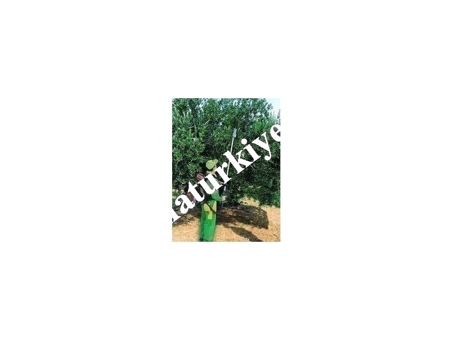 Zeytin Hasat Makinesi Taral MİX