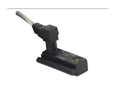 MPM DSM4M225 Manyetik Sensör  - 0