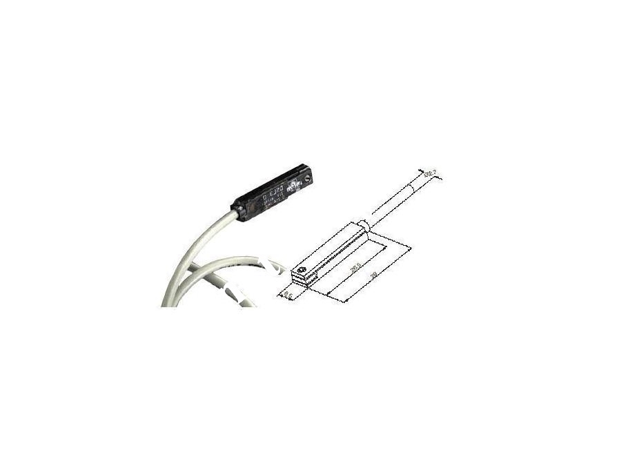 MPM DSL1C525 Reed Sensör 