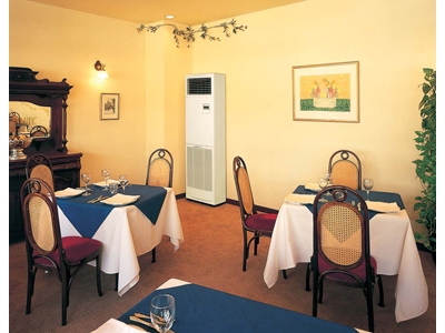 Salon Tipi Klima / Mitsubishi Psa-Rp Ga