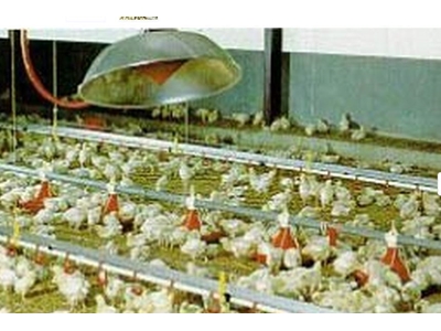 Açık Alevli Radyant Isıtıcı / Khromschroeder 1000 Bp/Hp - 1