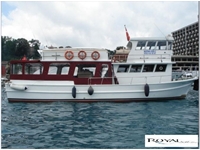 Maßgeschneidertes Besichtigungsboot in Istanbul - 0