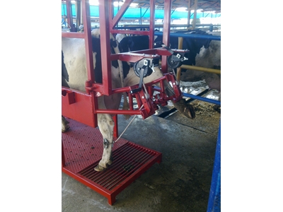Seperator Gübre Sıyırma Makina Travay Fırca Üretimi - 2