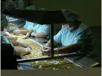 Kuruyemiş Seçme Masası Suiser Makina