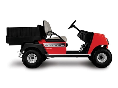2,4 kW Elektrikli Golf Arabası