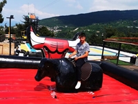 Machine de divertissement de taureau mécanique Rodeo taille moyenne - 1