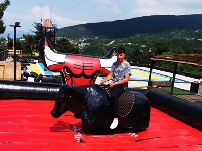 Rodeo Medium Sized Bull Game Entertainment Machine - 1