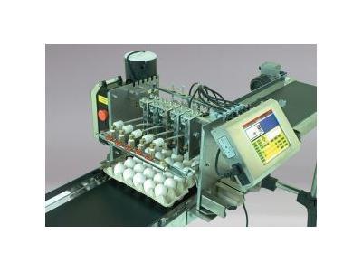 Xaar Eggs Print İnkjet Kodlama Makinası
