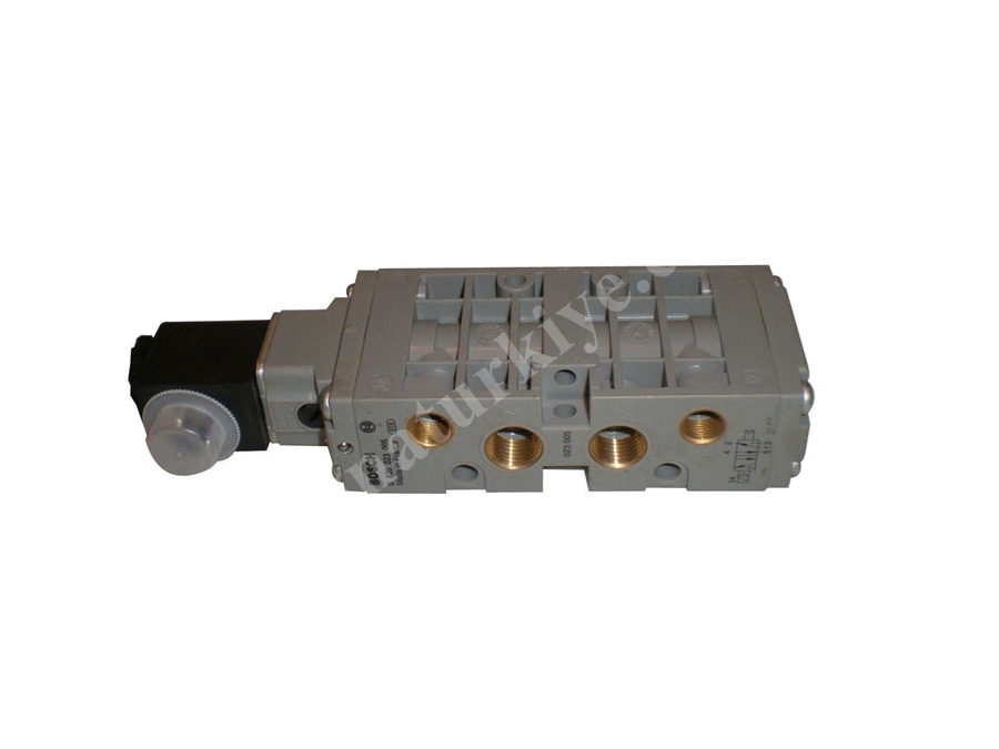 0820023005-Solenoid Valf