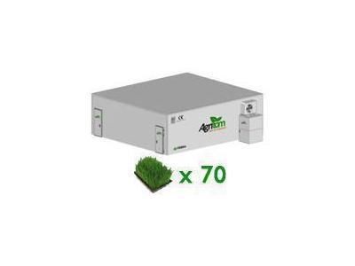 Taze Ot Makinası 500Kg/ Gün