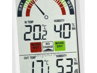 Belair Wireless Termometre - 1