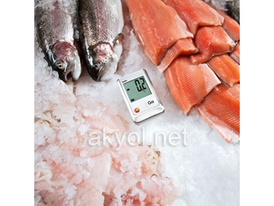 Mini Datalogger Testo 174T - 1