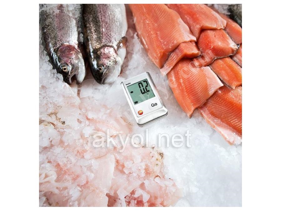 Mini Datalogger Testo 174T