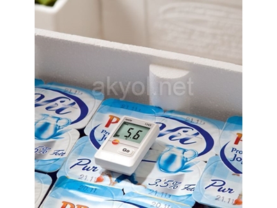 Mini Datalogger Testo 174T - 2
