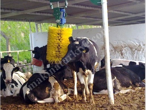 Kaşıntı Fırçası
