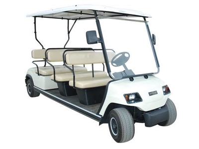 Ecocar 6 person Golf Cart - 0