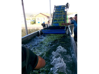 Sebze Yıkama Makinesi 2000 kg/ saat
