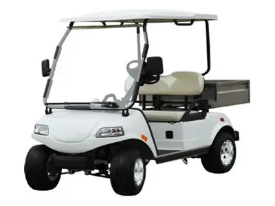 2 Person Golf Cart with Trunk