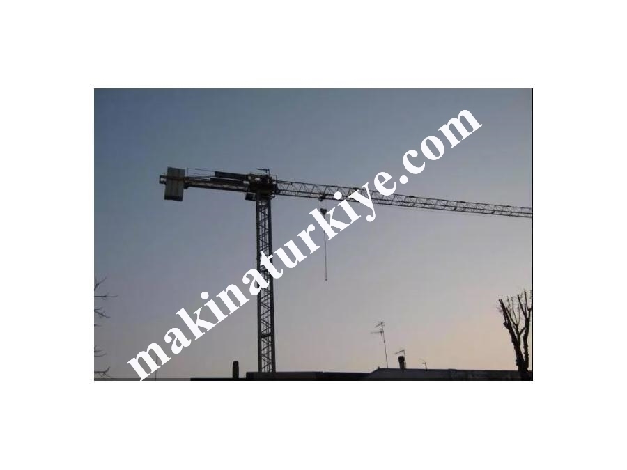 2.5 Ton Kapasiteli Gergisiz Kule Vinç 