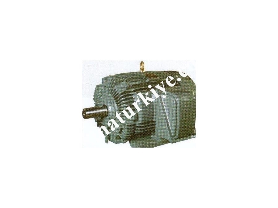 1,1 Kw-250 Kw Arası Dinamo Motor Çeşitleri - Devmak 
