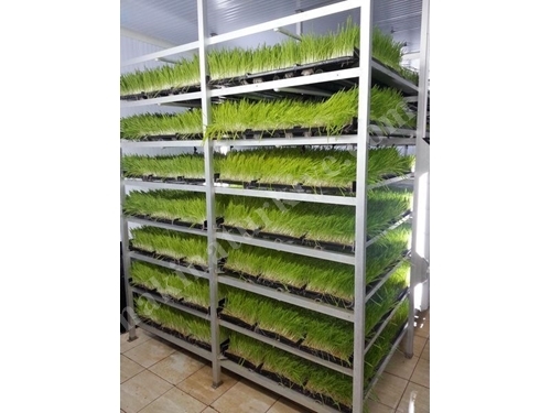 Produktionsanlage für frisches grünes Futter (365 Tage frisches grünes Futter) S-200: 750-800 kg/Tag