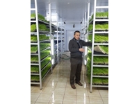 Installation de production de fourrage vert frais (365 jours de fourrage vert frais) S-200 : 750-800 kg/jour - 3