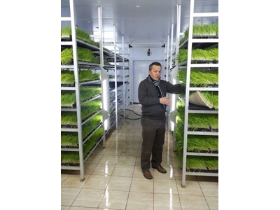 Taze Yeşil Yem Üretim Tesisi (365 Gün Taze Yeşil Yem) S-200 : 750-800 Kg/Gün  - 3