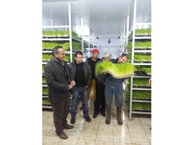 Taze Yeşil Yem Üretim Tesisi (365 Gün Taze Yeşil Yem) S-200 : 750-800 Kg/Gün  - 5