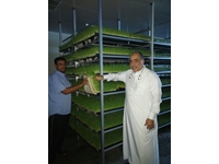 Produktionsanlage für frisches grünes Futter (365 Tage frisches grünes Futter) S-200: 750-800 kg/Tag - 1