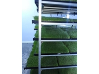 Produktionsanlage für frisches grünes Futter (365 Tage frisches grünes Futter) S-400: 1000-1200 kg/Tag - 1