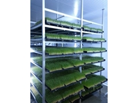 Produktionsanlage für frisches grünes Futter (365 Tage frisches grünes Futter) S-400: 1000-1200 kg/Tag - 2
