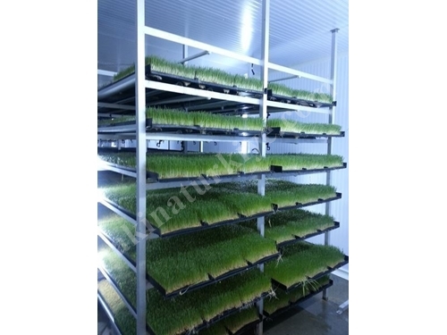 Produktionsanlage für frisches grünes Futter (365 Tage frisches grünes Futter) S-400: 1000-1200 kg/Tag
