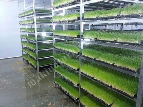 Fresh Green Feed Production Facility (365 Days Fresh Green Feed) S-900 : 2,000-2,200 Kg/Day