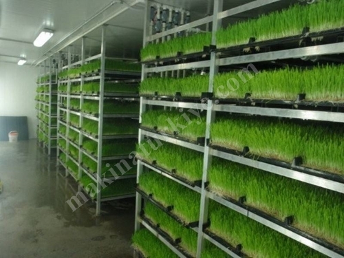 Produktionsanlage für frisches grünes Futter (365 Tage frisches grünes Futter) S-900: 2.000-2.200 kg/Tag