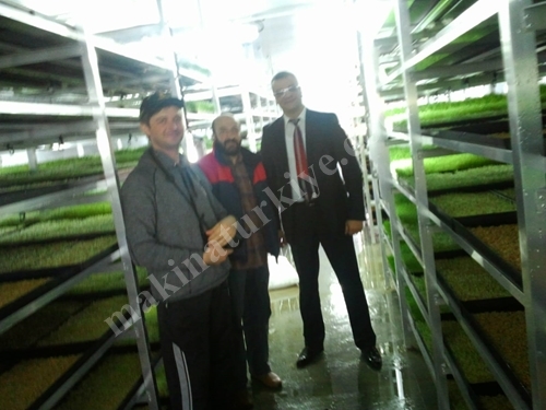 Produktionsanlage für frisches grünes Futter (365 Tage frisches grünes Futter) S-900: 2.000-2.200 kg/Tag