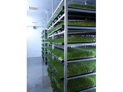 Taze Ot Yem Makinası 3000-3200 Kg / Gün  ( S-1200 ) - 2