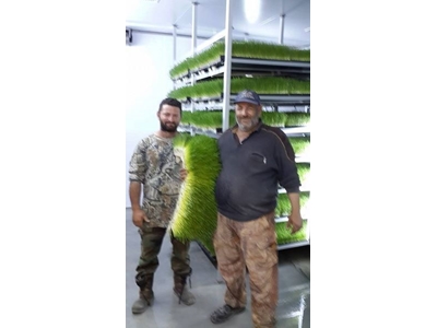 Taze Ot Yem Makinası 3000-3200 Kg / Gün  ( S-1200 ) - 4